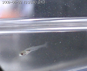 img0007.jpg